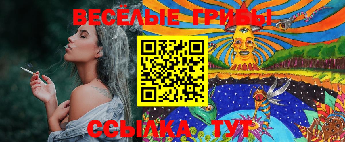 Псилоцибиновые грибы мицелий Уссурийск