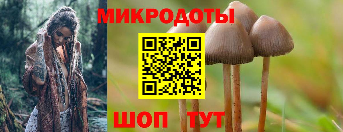 Псилоцибиновые грибы прущие грибы  Псилоцибиновые грибы Magic Shrooms  Вход с VPN  Уссурийск 